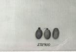 Click for 1 image(s) for this accession. FRUIT